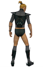 Assassin Seitung armor m gray back chest feet.png