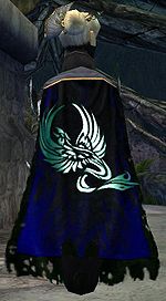 Guild Knights Of Lucid Dreams cape.jpg