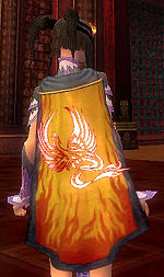 Guild The Dragons Of Flame cape.jpg