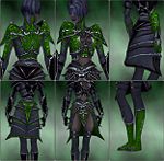 Screenshot Necromancer Elite Necrotic armor f dyed Green.jpg