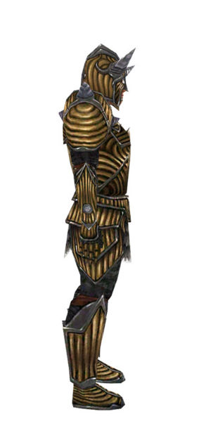 File:Warrior Wyvern armor m dyed right.jpg