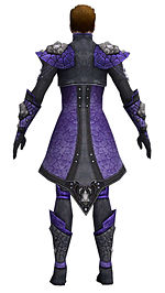 Elementalist Elite Stoneforged armor m dyed back.jpg
