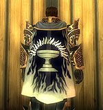 Guild Knights Of The Sacred Chalice cape.jpg