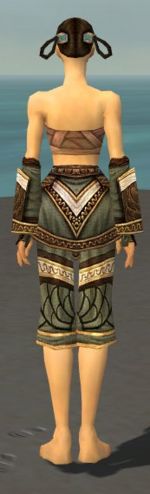 Monk Elite Canthan armor f gray back arms legs.jpg