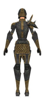 Warrior Elite Platemail armor f dyed back.jpg