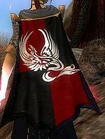 Guild Alliance Of Royal Knights cape.jpg