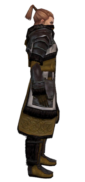 File:Ranger Norn armor m dyed right.png