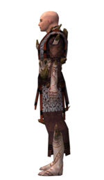 Monk Primeval armor m dyed left.jpg