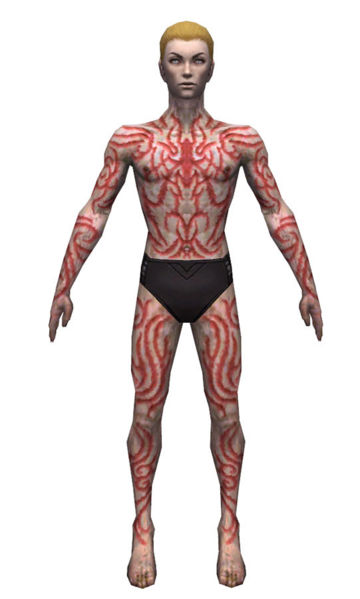 File:Necromancer Scar Pattern armor m dyed front.jpg