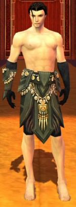 Ritualist Elite Kurzick armor m gray front arms legs.jpg