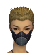 Assassin Elite Canthan Mask f gray front.png