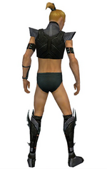 Assassin Luxon armor m gray back chest feet.png