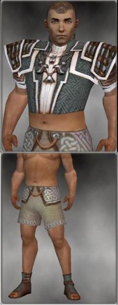 File:Monk Elite Judge armor m gray front chest feet.jpg
