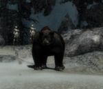 Rabid Bear.jpg
