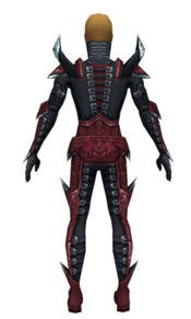 Necromancer Profane armor m dyed back.jpg