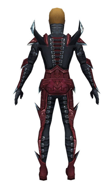 File:Necromancer Profane armor m dyed back.jpg