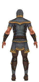 Warrior Tyrian armor m dyed back.jpg