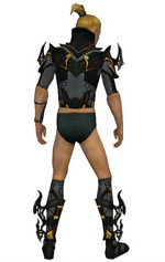 Assassin Elite Kurzick armor m gray back chest feet.png