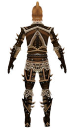 Ranger Elite Kurzick armor m dyed back.jpg