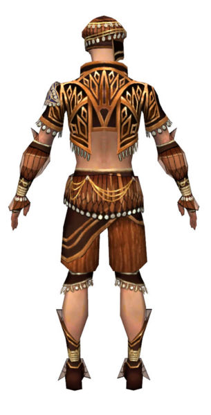 File:Ritualist Vabbian armor m dyed back.jpg