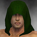 Shining Blade Cowl costume m green front head.jpg