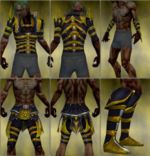 Necromancer Elite Cabal armor m yellow overview.jpg