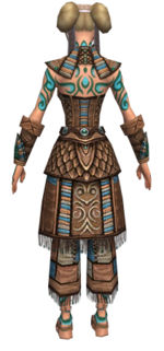 Monk Elite Luxon armor f dyed back.jpg
