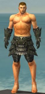 Warrior Wyvern armor m gray front arms legs.jpg