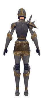 Warrior Platemail armor f dyed back.jpg