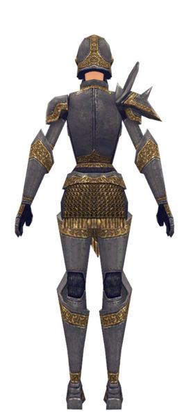 File:Warrior Platemail armor f dyed back.jpg