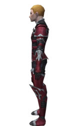 Necromancer Tyrian armor m dyed left.jpg