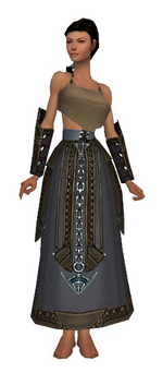 Dervish Asuran armor f gray front arms legs.png