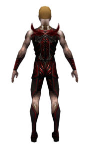 Necromancer Istani armor m dyed back.jpg