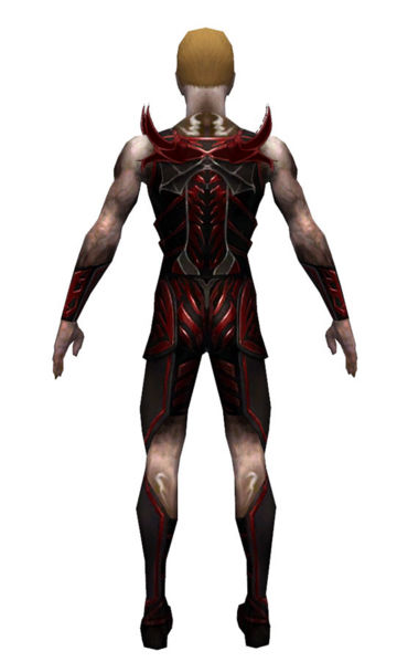 File:Necromancer Istani armor m dyed back.jpg