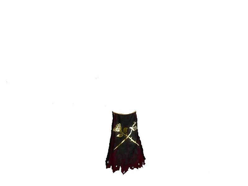 File:Guild Fire Within The Darkness cape.jpg