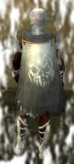 Guild Tote Krieger cape.jpg