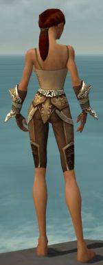 Ranger Asuran armor f gray back arms legs.jpg