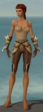 Ranger Asuran armor f gray front arms legs.jpg