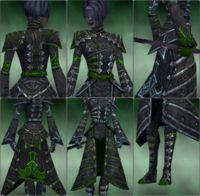 Screenshot Necromancer Cultist armor f dyed Green.jpg