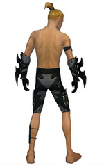 Assassin Kurzick armor m gray back arms legs.png