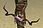 Tormented Recurve Bow.jpg