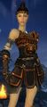 Fenlinara Of Zhan / Warrior/Elementalist Factions LVL 20