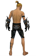 Assassin Elite Kurzick armor m gray back arms legs.png