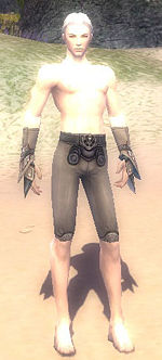 Elementalist Asuran armor m gray front arms legs.jpg