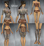 Monk Flowing armor Female Silver overview.jpg