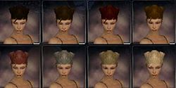 Ranger factions hair color f.jpg