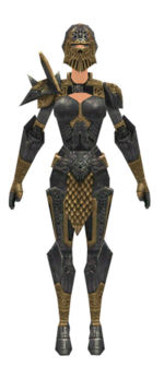 Warrior Elite Platemail armor f dyed front.jpg