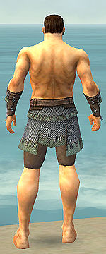 Warrior Tyrian armor m gray back arms legs.jpg