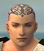 Monk Elite Sunspear armor m gray front head.jpg