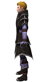 Elementalist Ancient armor m dyed left.jpg